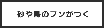 砂や鳥のフンがつく